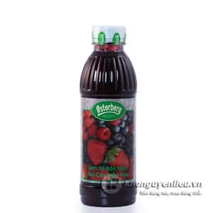 Sinh tố Osterberg trái cây hỗn hợp – 1L